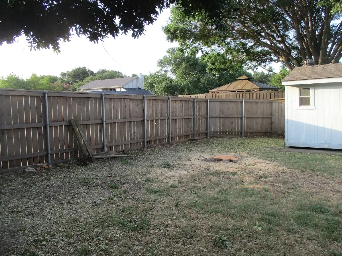 Cleared yard after professional tree removal in Cope